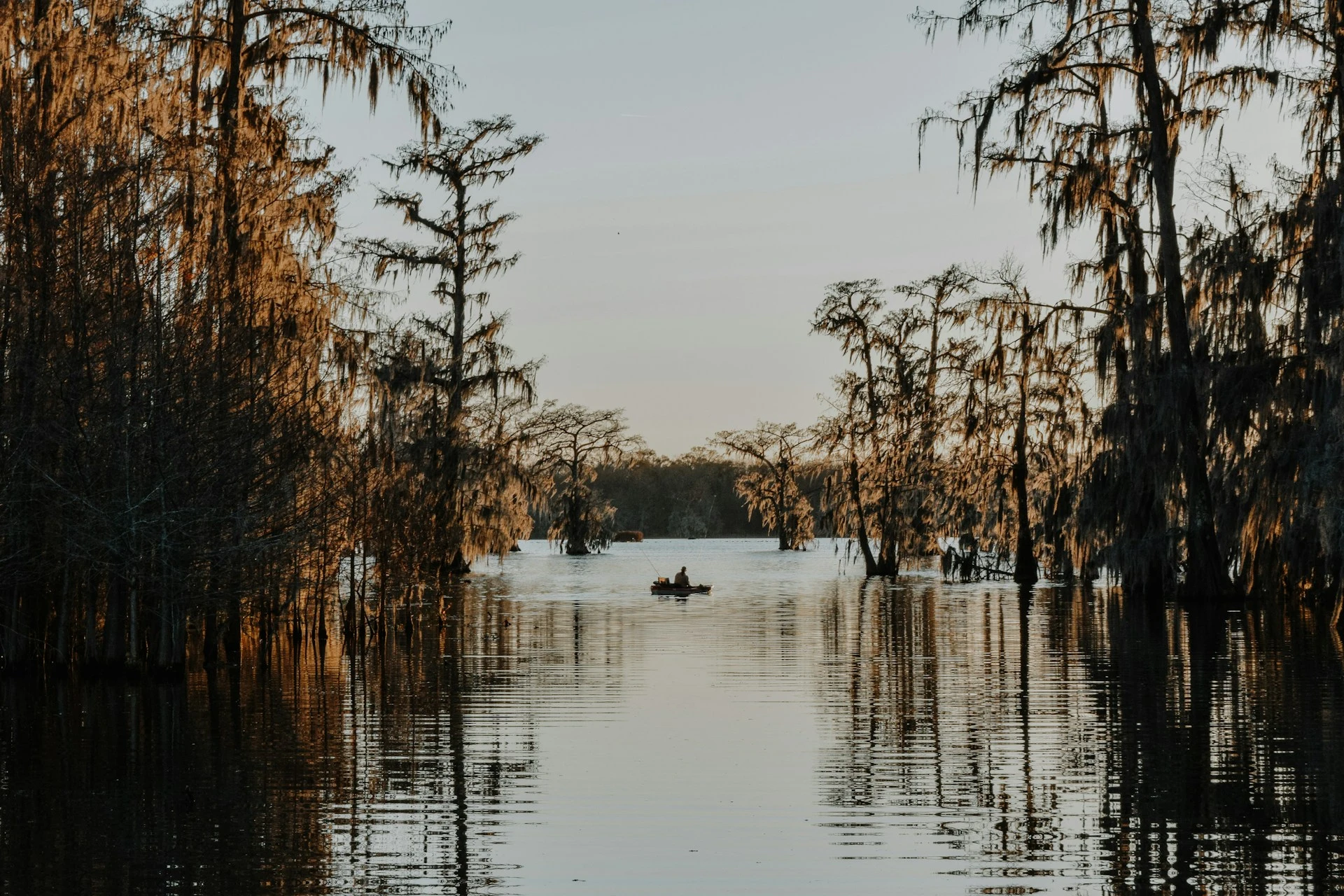 The world famous bayou in Lafayette Louisiana